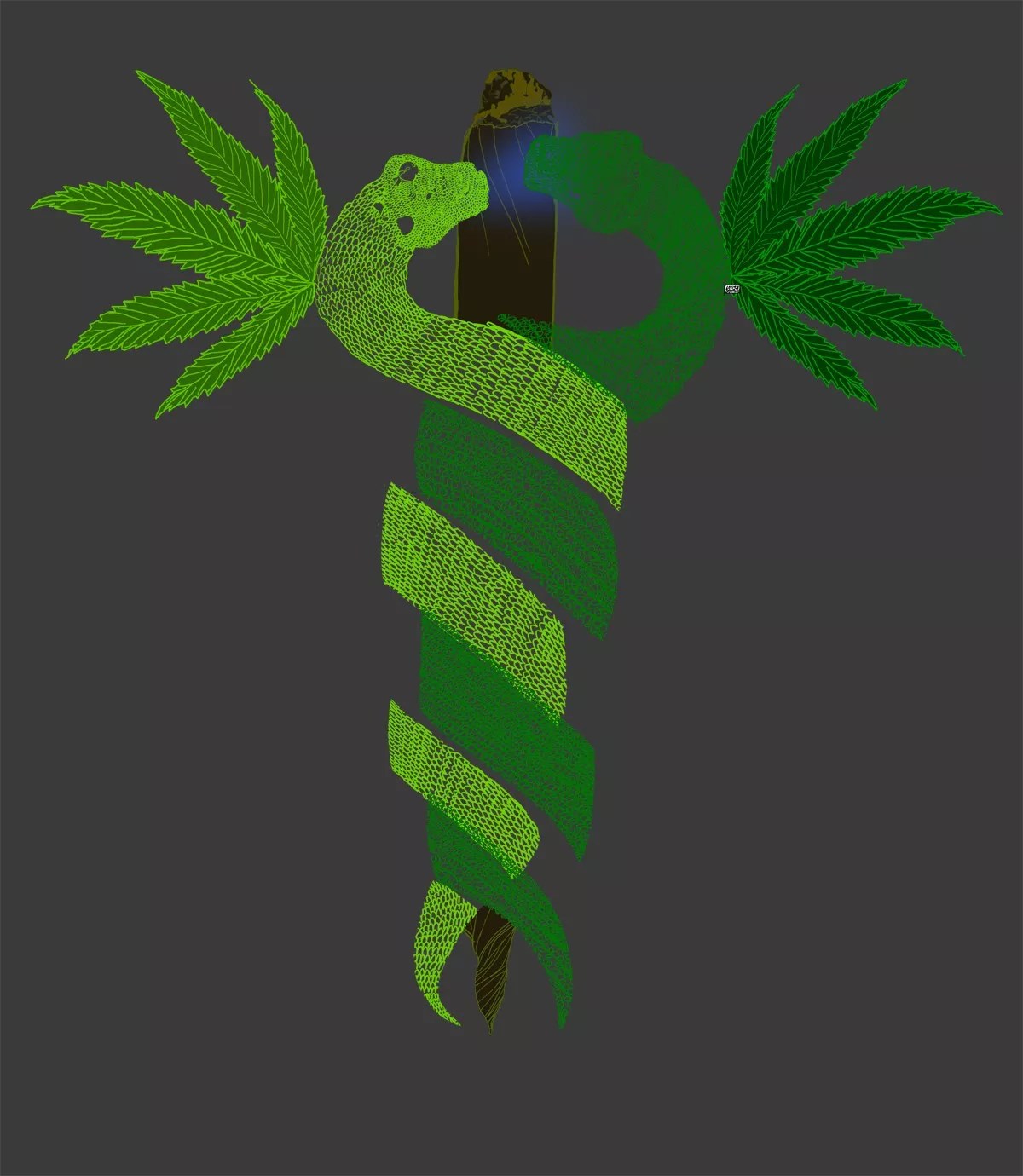 Medical Marijuana Cost a Nursing Student Her Spot at Nova Southeastern