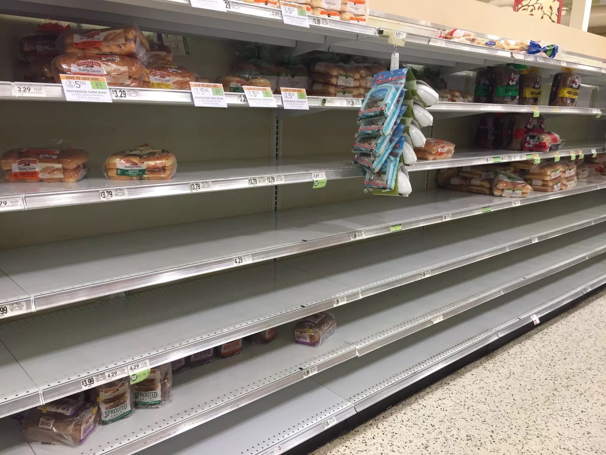 Survey: One in Ten Hurricane Survivors Have Witnessed Physical Fights Over Water and Gas