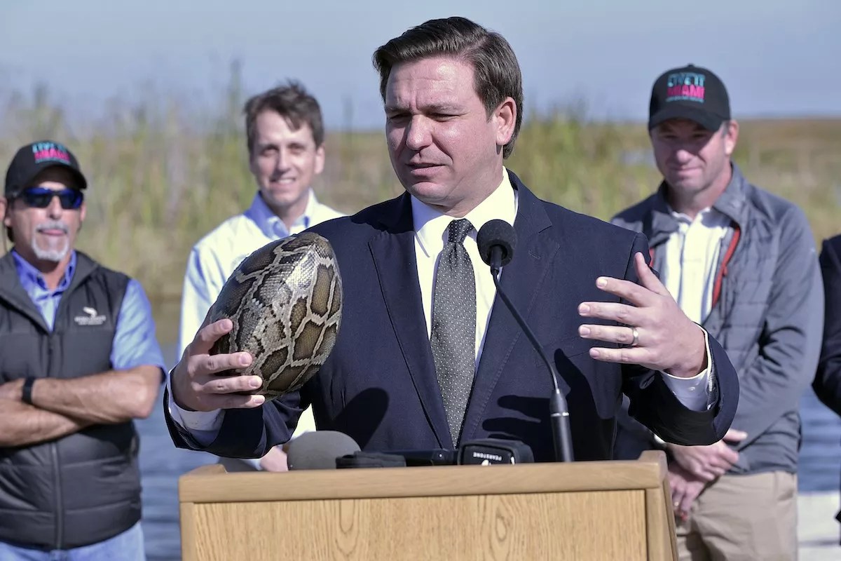 Pigskin or Snakeskin? Miami Super Bowl Committee Invites Hunters to Python Bowl