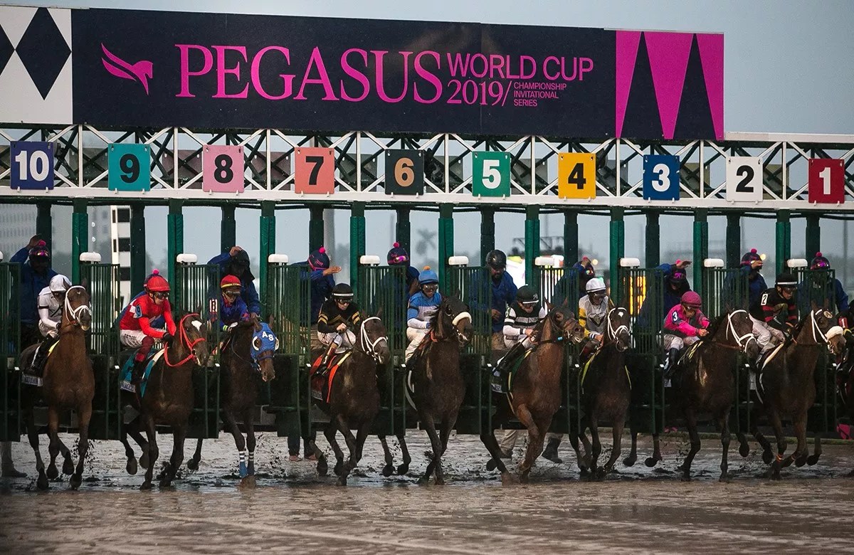 After Fatalities, Can Gulfstream Park Lead Horse Racing Back to Firmer Footing?