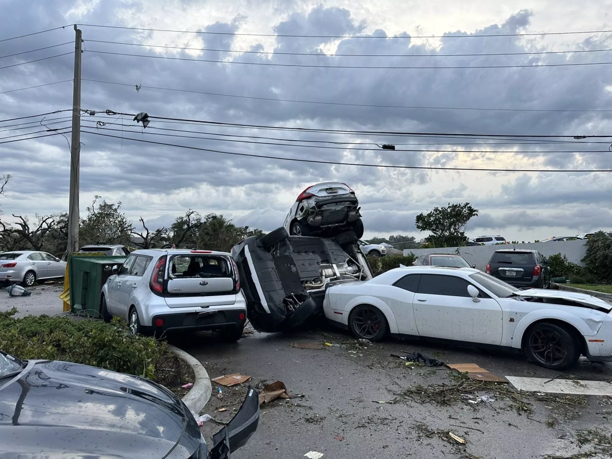 Tenant, Stunned Pooch, Narrowly Escape Wrath of Palm Beach Gardens Tornado (VIDEO)