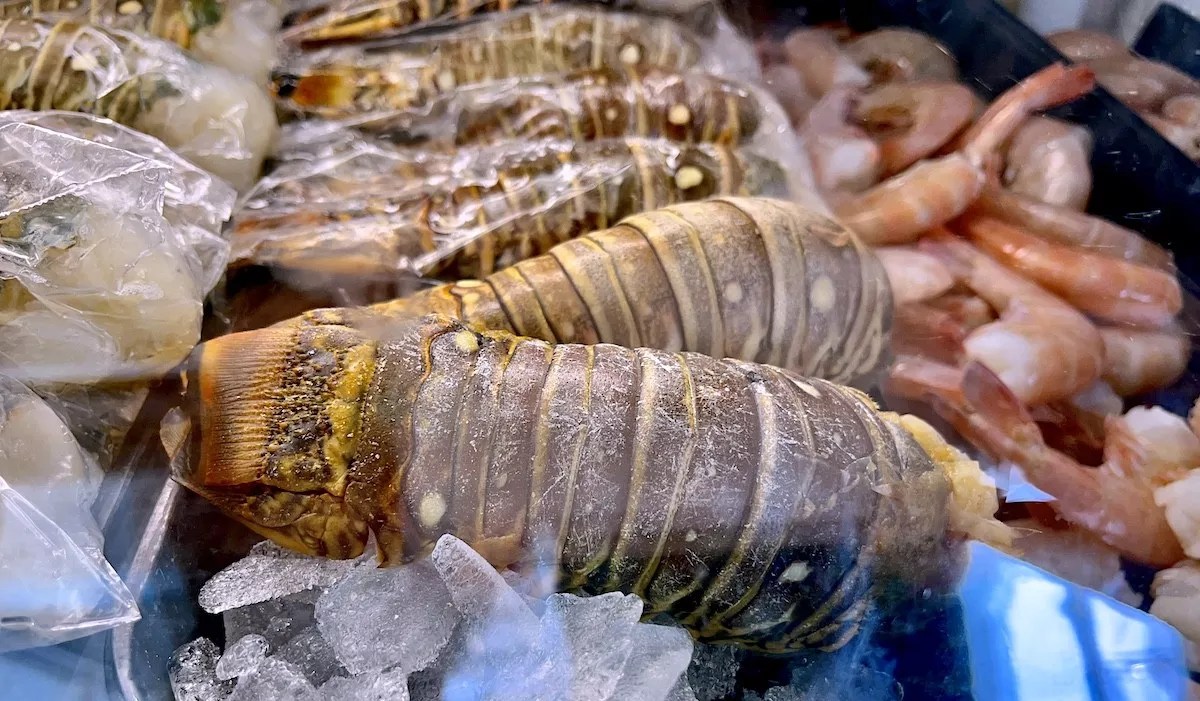 The 2023 Florida Lobster Mini-Season Returns This Week; Please Don’t Die