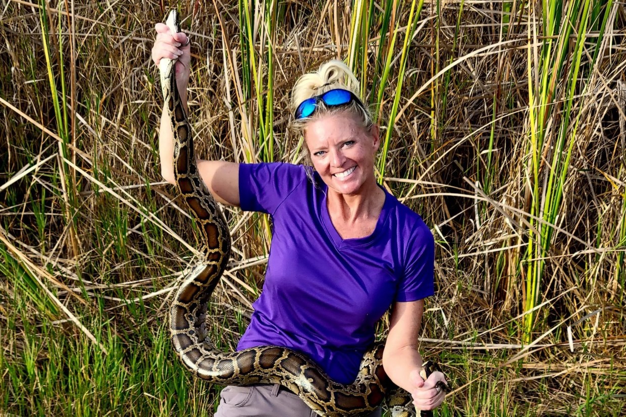 Python Hunter Takes Tourists Into the Florida Wilderness to Catch the Invasive Species