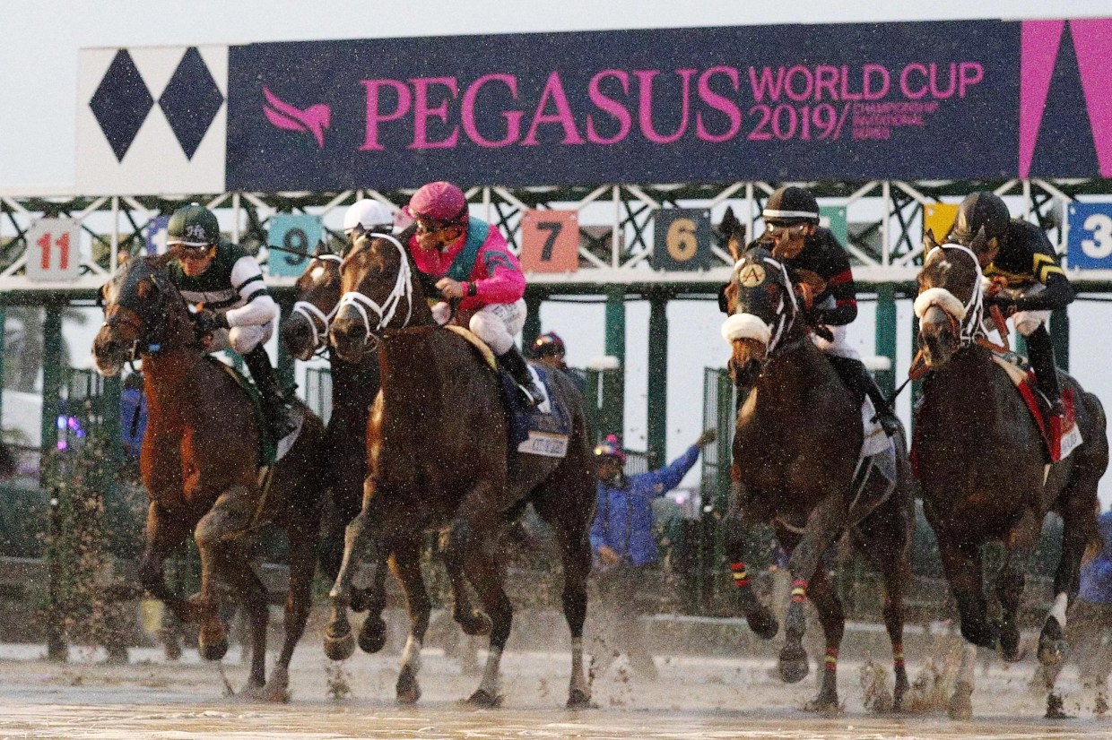 Pegasus World Cup Is as Much About Partying as Racing