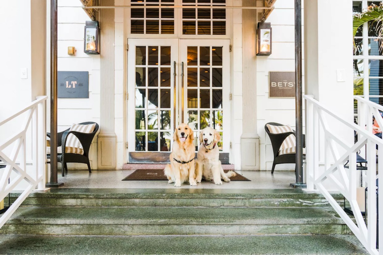 The Best Pet-Friendly Hotels in South Florida