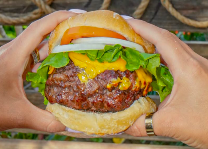 The 9 Best Restaurants in Hollywood, Florida